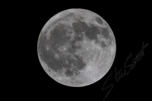 For Fun - Website initial-13