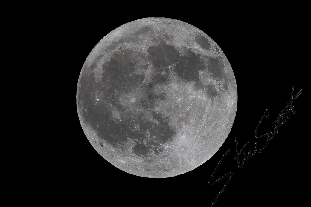 For Fun - Website initial-13