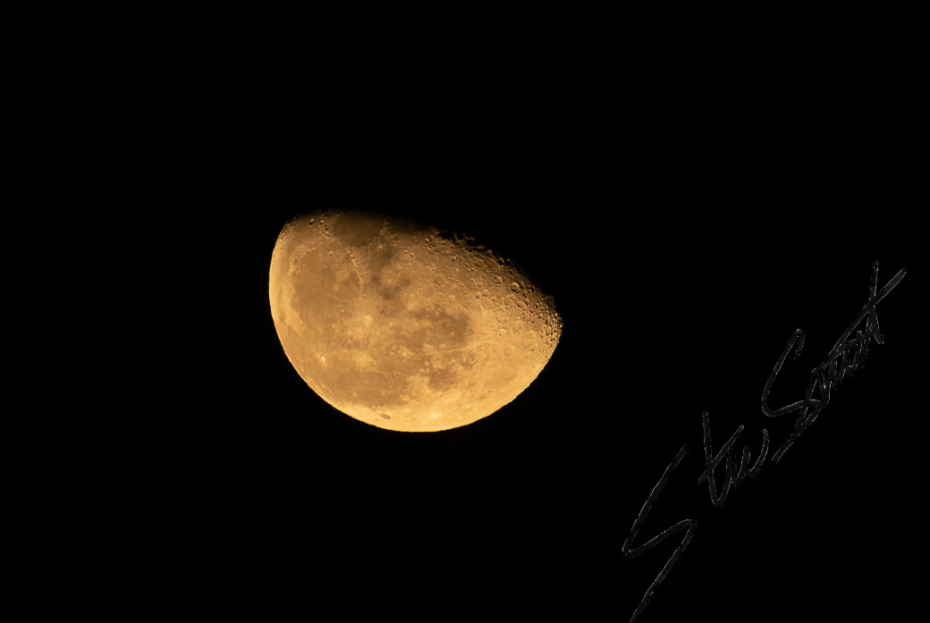 For Fun - Website initial-14