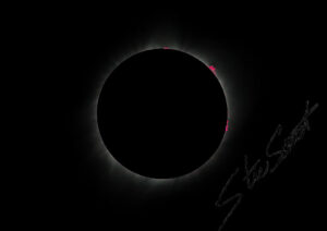 For Fun - Website initial-3