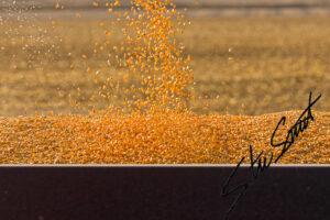 For Fun - Website initial-8