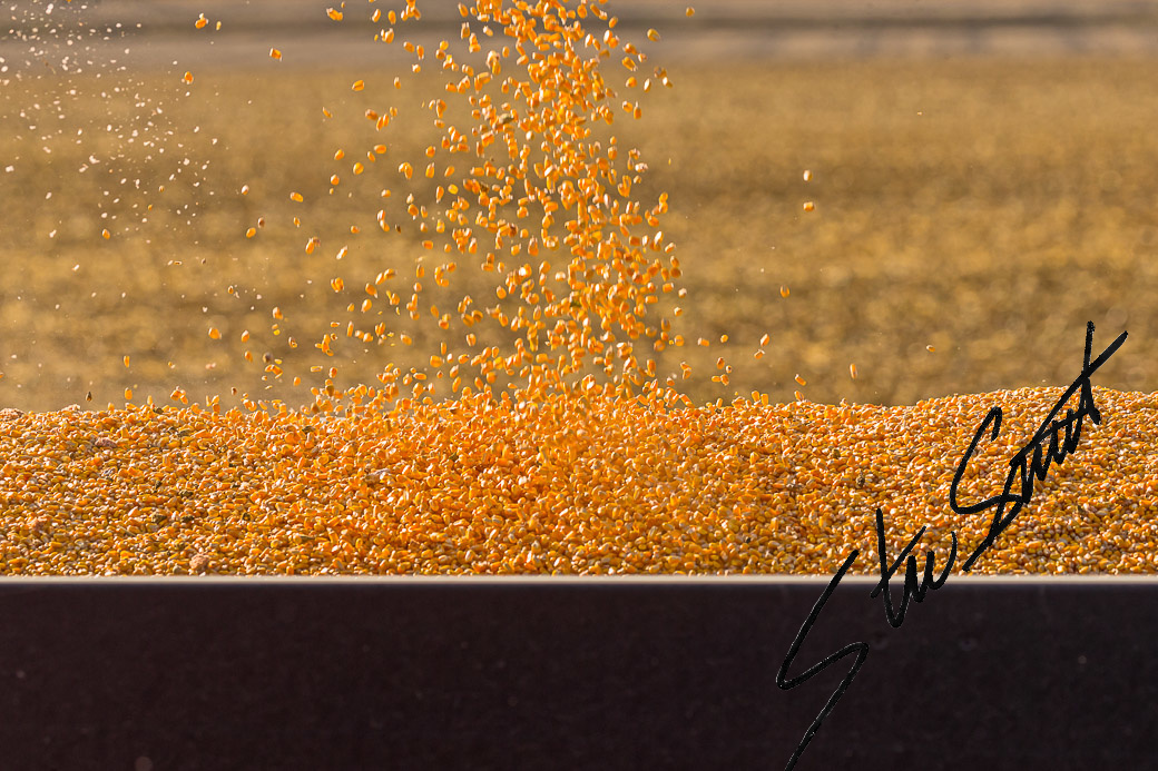 For Fun - Website initial-8