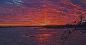 Landscapes - Website initial-11