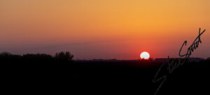 Landscapes - Website initial-12