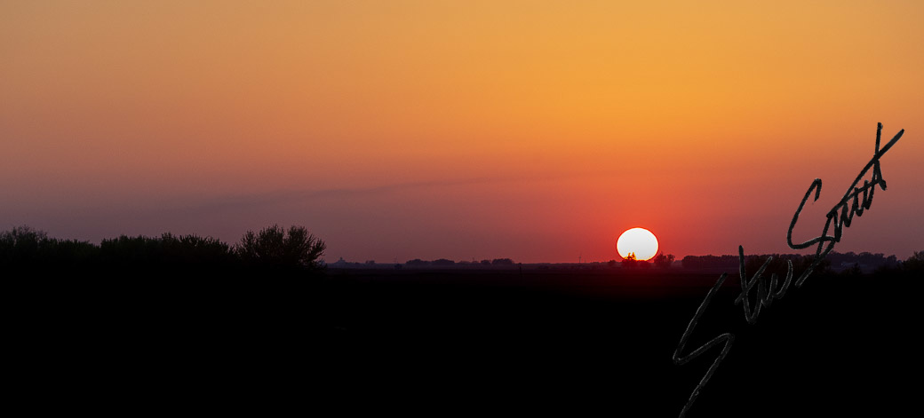 Landscapes - Website initial-12