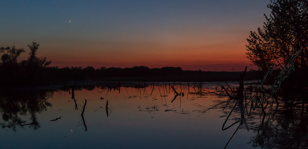 Landscapes - Website initial-13