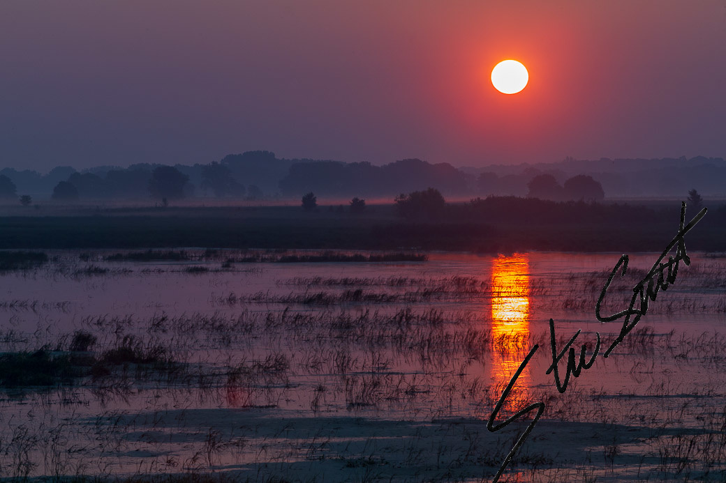 Landscapes - Website initial-15