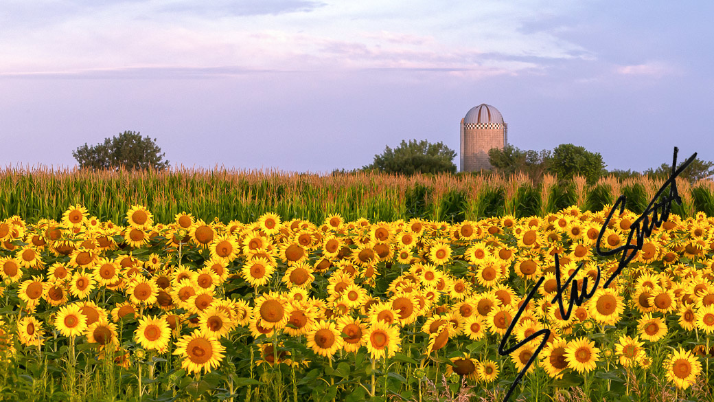 Landscapes - Website initial-16