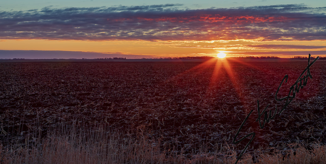 Landscapes - Website initial-17