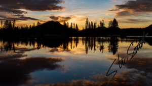 Landscapes - Website initial-18