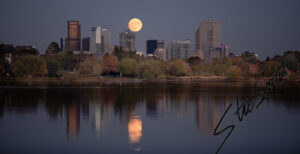 Landscapes - Website initial-26