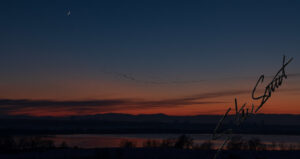 Landscapes - Website initial-28