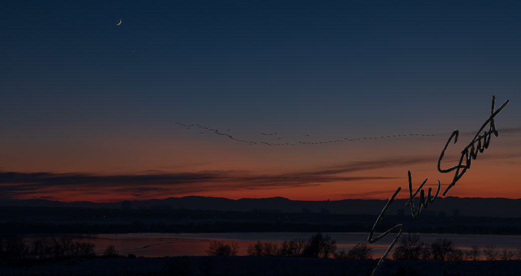 Landscapes - Website initial-28