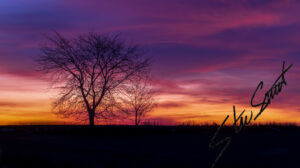 Landscapes - Website initial-30