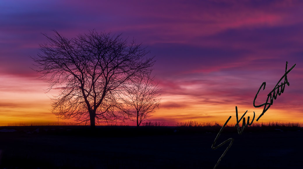 Landscapes - Website initial-30