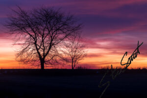 Landscapes - Website initial-31