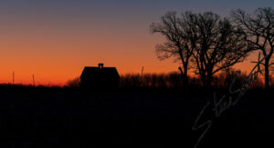 Landscapes - Website initial-32