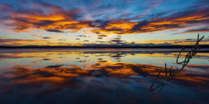 Landscapes - Website initial-33