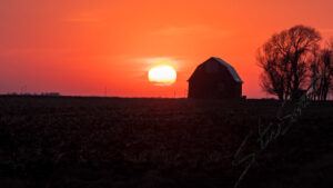 Landscapes - Website initial-34