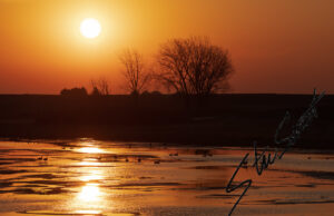 Landscapes - Website initial-36