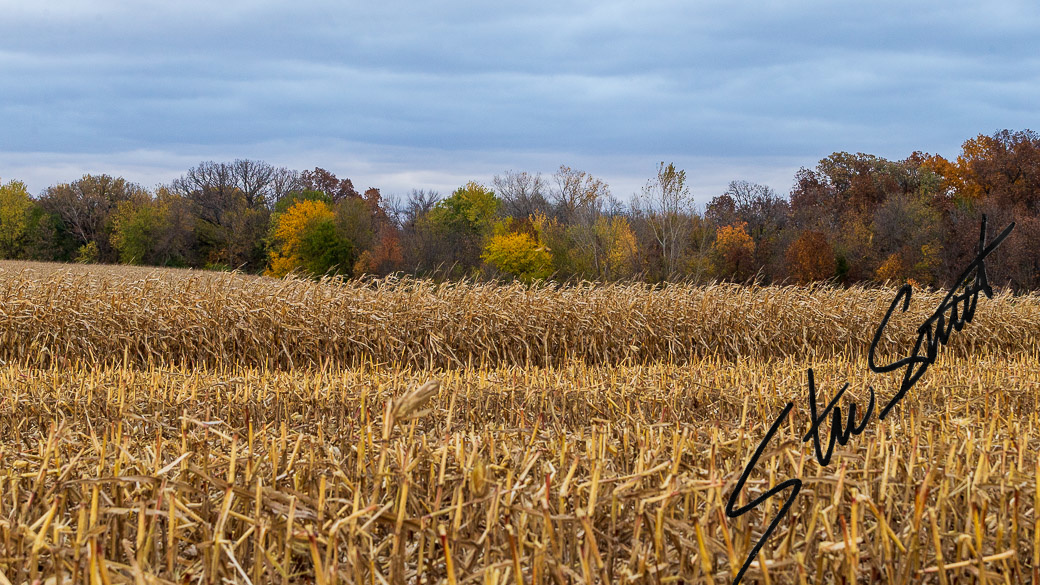 Landscapes - Website initial-4