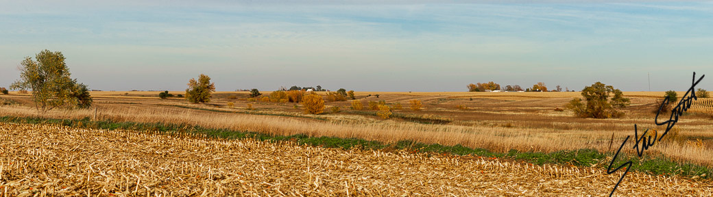 Landscapes - Website initial-5