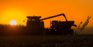 Landscapes - Website initial-6