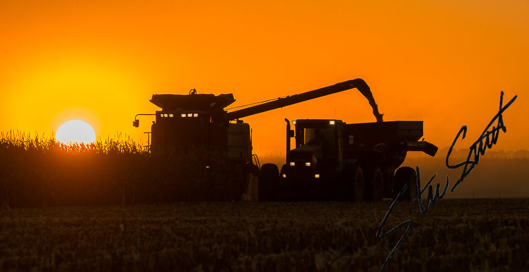 Landscapes - Website initial-6