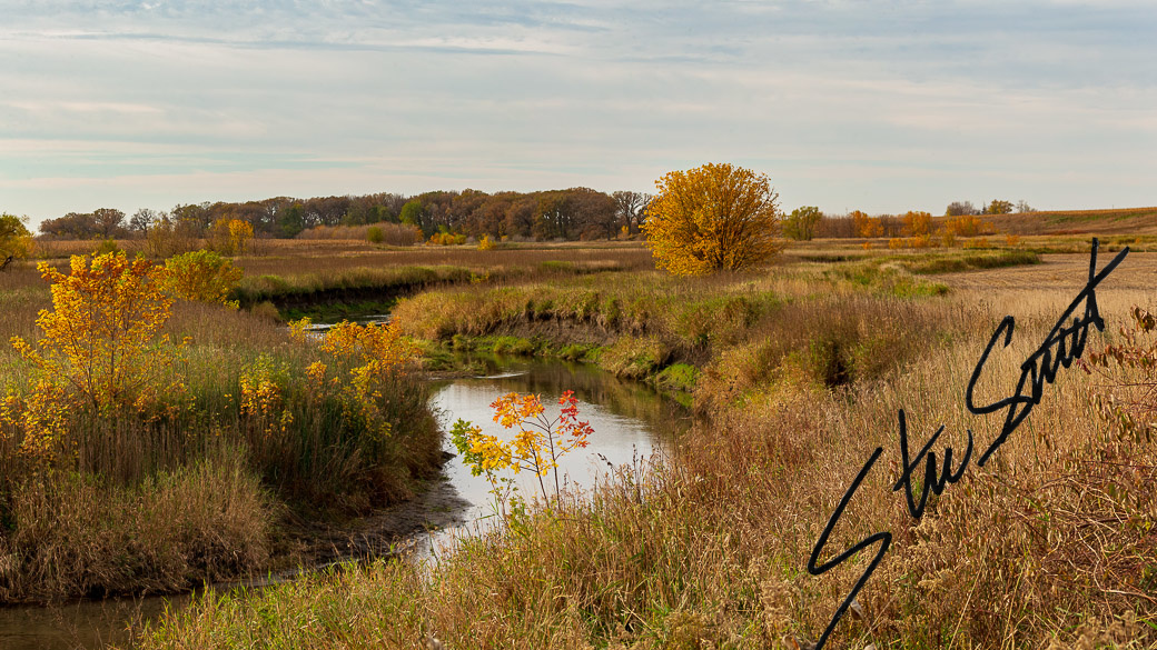 Landscapes - Website initial-7